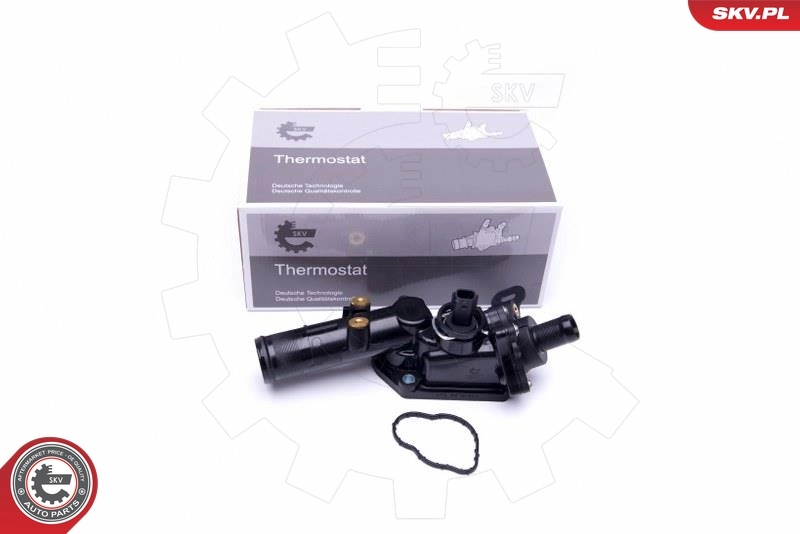 Thermostat, coolant